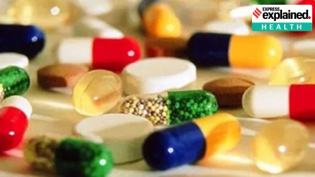 diabetes drug, cell study, metformin, aging problems, Low-cost diabetes drug, male monkeys, monkey brain cells, inexpensive diabetes drugs, medication, journal Cell, University of Chinese Academy of Sciences, Beijing, Indian express news