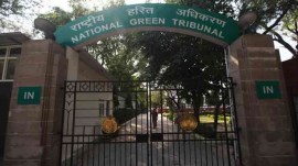 NGT, National Green Tribunal (NGT), Justice Sudhir Agarwal, NGT judge hears case with son as amicus, Indian express news, current affairs