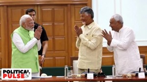 BJP allies, Chandrababu Naidu, Nitish Kumar