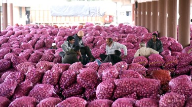 India export onions