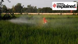 Why changing Goa land use law, the process raise red flags