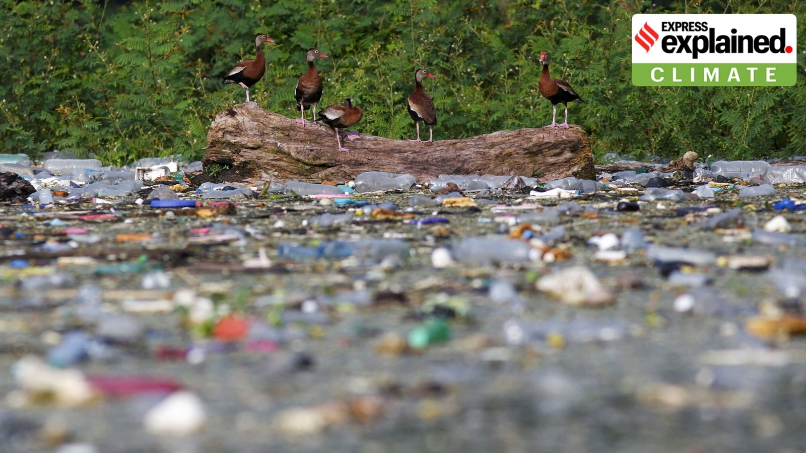 India generates highest plastic pollution in world: what a new study found