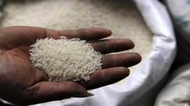 Govt halves rice export duty, rice news, export duty on rice, india, rice categories, rice export duty notification, finance ministry, Basmati rice, Indian express news