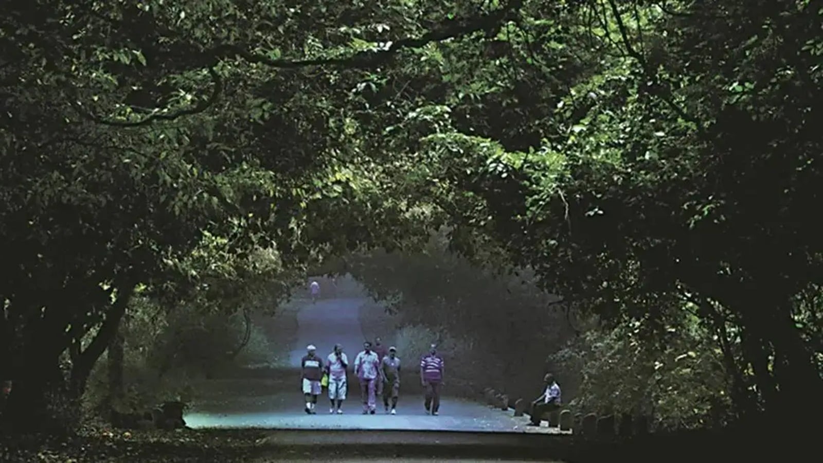 Monday Interview | ‘Mumbai’s open spaces are abysmally low for its population’