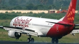 The QIP, which closed on September 18, was oversubscribed, which SpiceJet sees as a demonstration of investor confidence in the airline's growth prospects. (File Photo)