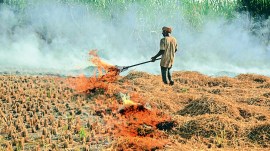 stubble burning, Punjab air pollution, Haryana air pollution, Punjab stubble burning, Haryana stubble burning, Air Quality Management, Indian express news, current affairs
