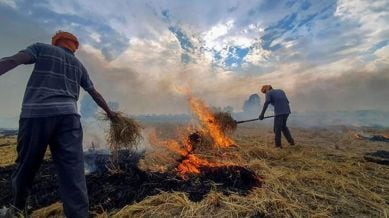 Despite the reduction in the number of operational machines, experts believe that the current fleet is sufficient to manage the stubble generated across 32 lakh hectares of paddy cultivation in Punjab. stubble burning