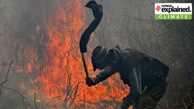 wildfires