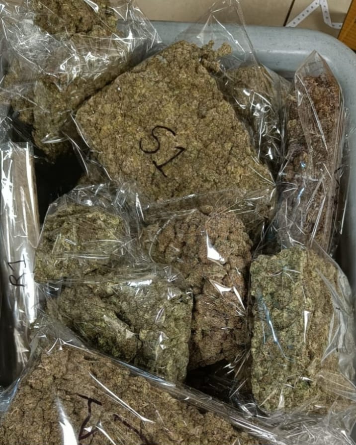 Flyer from Bangkok caught at Mumbai airport with marijuana worth Rs 8