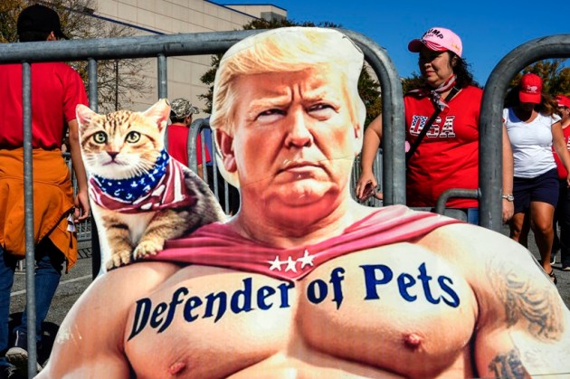 US election campaign