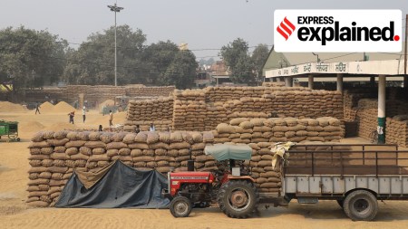 Overflowing godowns, unhappy millers: paddy procurement crisis in Punjab