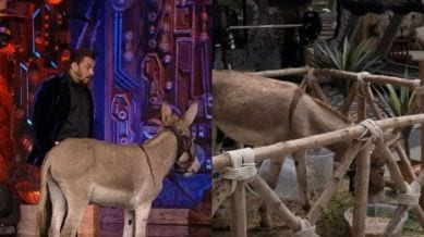 Bigg Boss 18 donkey gets released from the show