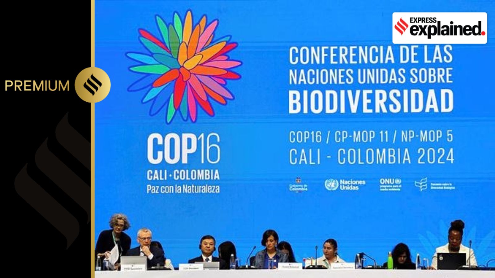Biodiversity COP16: What is it, what is on agenda this year