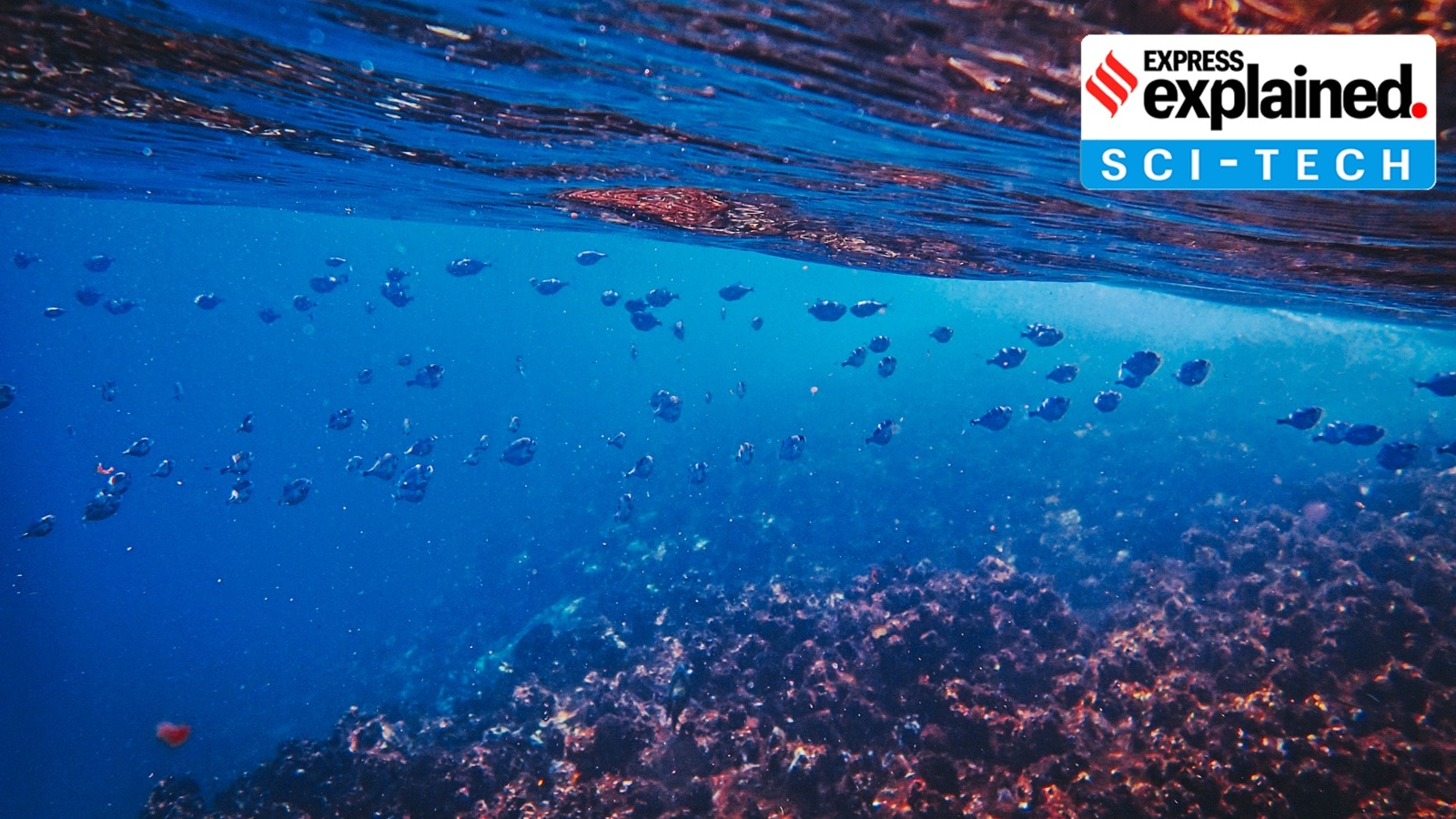 Extreme temperature changes in the temperature of the twilight zone are also a matter of concern, since many fish species and plankton reside here.