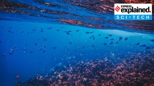 Why researchers studied marine heat waves more than 200m below the ocean surface