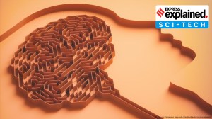 Depression remaps a major brain network: What a new study found