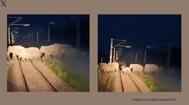 Loco pilots apply emergency brake to save a herd of elephants (Image source: @supriyasahuias/X)