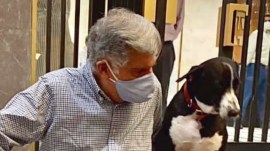 Mumbai police inspector confirms Ratan Tata’s dog Goa is alive (Image source: @ratantata/Instagram)