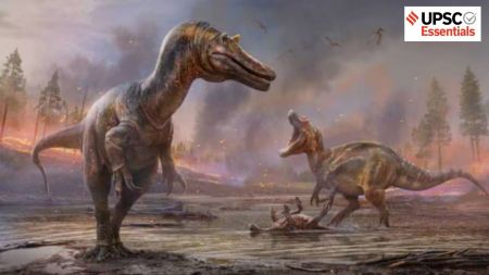 A brief history of biodiversity and our current crisis