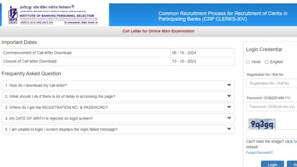 Window to check and download IBPS RRB clerk XIV 2024 mains admit card. 