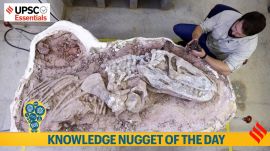 Knowledge Nugget of the day: Gondwanax paraisensis