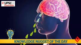 Knowledge nugget of the day: Brain-eating amoeba