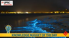 Knowledge nugget of the day: Bioluminescence
