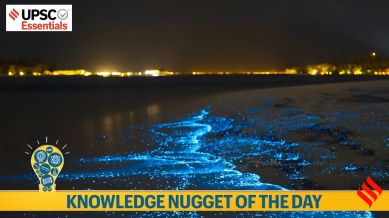 Knowledge nugget of the day: Bioluminescence