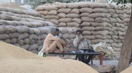 (Left to right) – 2024-10-20T124101.312 punjab