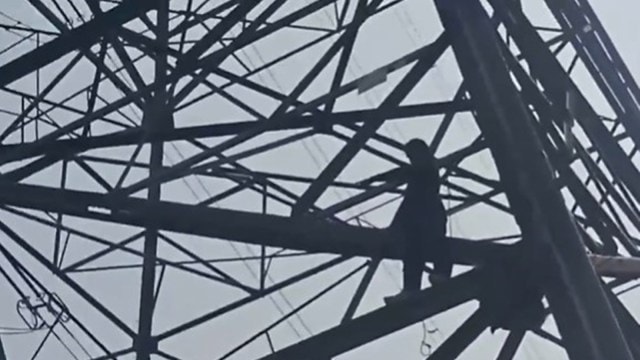 activist climbs pole, Environmental activistic  climbs pole, Man climbs high-voltage rod  Shahdara,