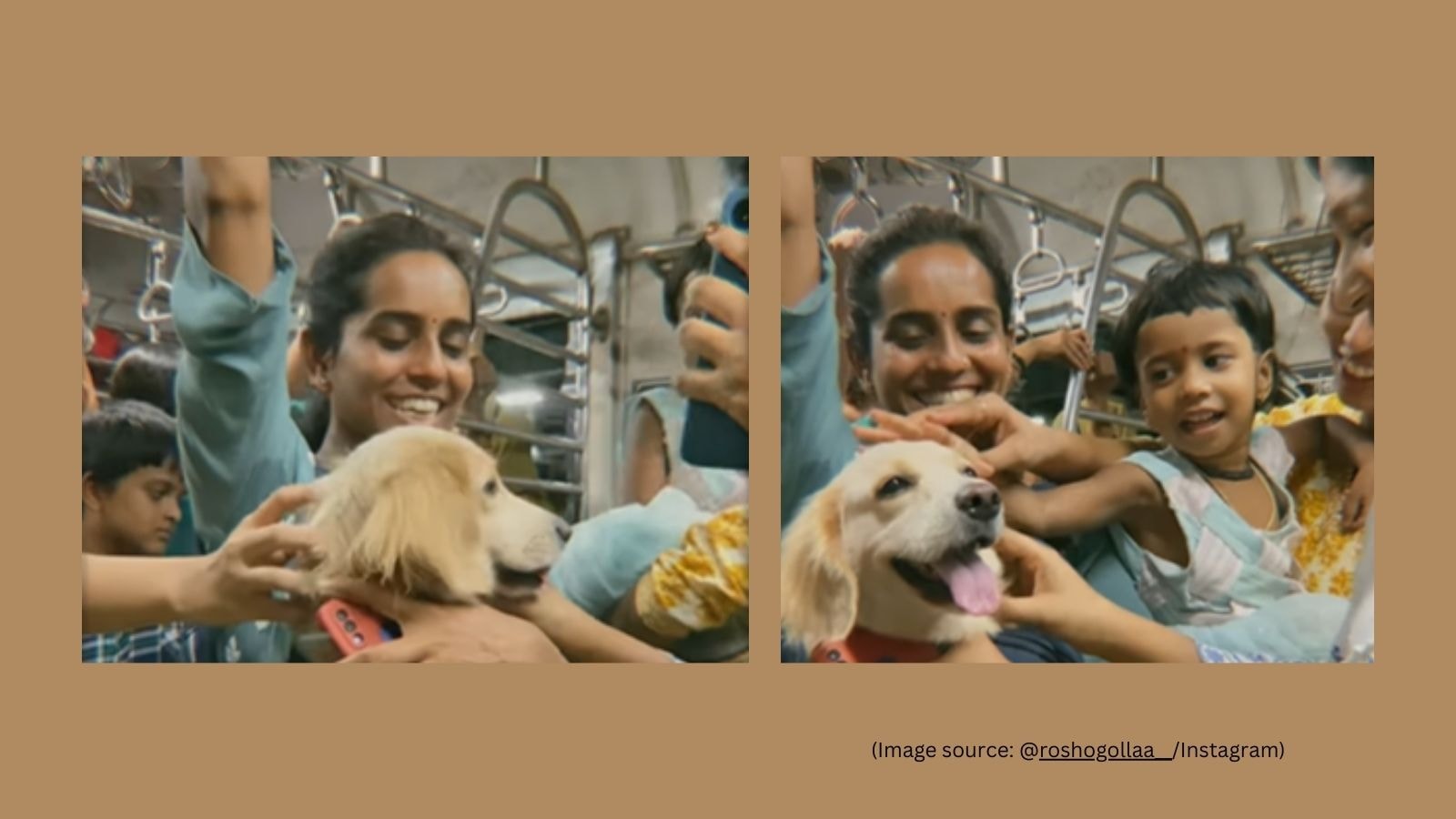 Heartwarming or harmful? Viral video of pet dog riding Mumbai local train sparks mixed reactions | Trending News