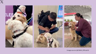 Mumbai airport 'pawfect' program (Image source: @CSMIA_Official/X)