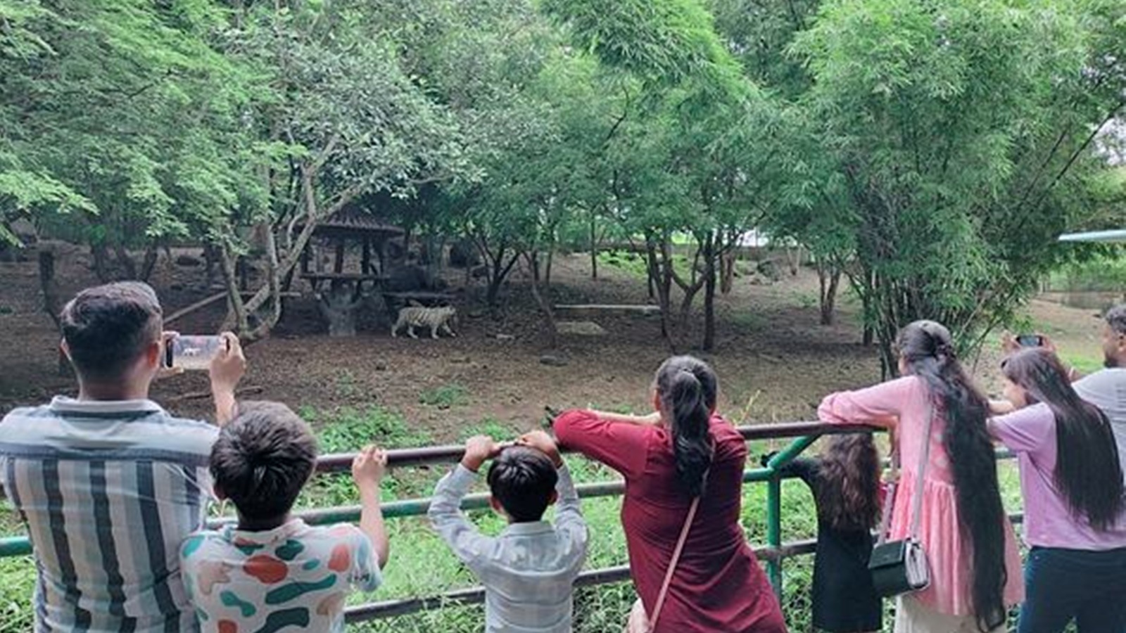 Kangra Zoo