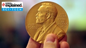 Is the Nobel Prize still relevant today?