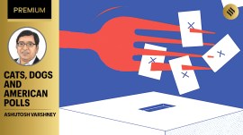 Opinion3_3rd-Oct In Trump-Vance narrative, cats, dogs and revival of nativist American nationhood