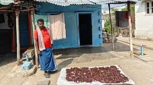  In this village, consciousness   of justice, anxiousness  arsenic  98 get   beingness  for onslaught  connected  Dalit homes