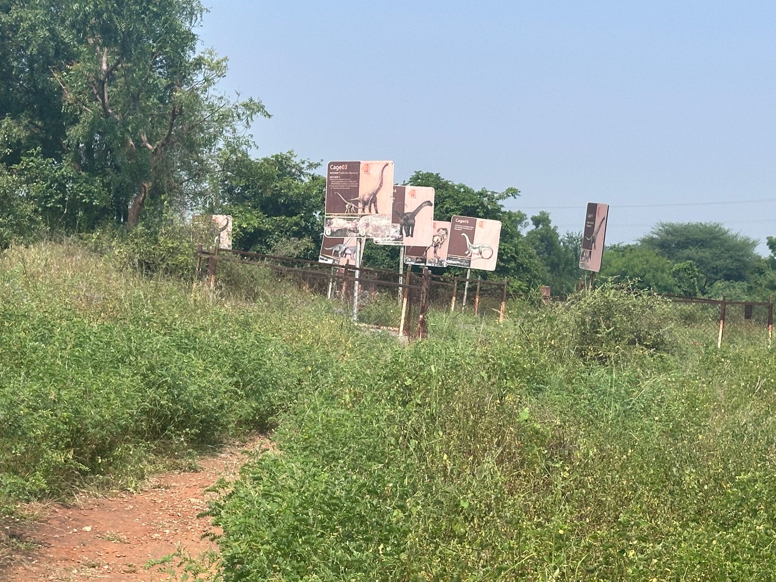  Overgrown bushes and shrubbery in the fossil park in Raiyoli, Balasinor | Express photo: Aditi Raja