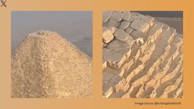 Dog climbs atop the Great Pyramid of Giza (Image source: @buitengebieden/X)
