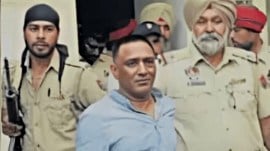 drug lord raja kandola, punjab and haryana high court