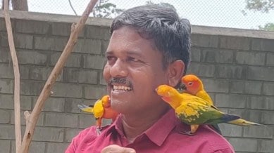 Siva Elango