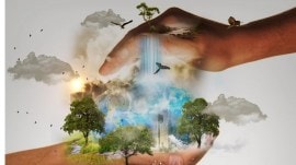 The 2024 Global Nature Conservation Index has identified the top 10 and bottom 10 countries in terms of conservation efforts. Know where India ranks. (Source Pixabay) nature conservation, global wildlife populations, WWF report, Luxembourg, Kiribati, India, biodiversity loss, protected areas, habitat loss, political action, policy reforms, Global Nature Conservation Index, India Ranking, Nature Conservation, Wildlife Trafficking, Nature Conservation Index 2024, Nature, Environment, Conservation Index 2024, Global Nature Conservation, Nature Conservation Index 2024, Nature Conservation India, Cherry Gupta, Google Trends, Google Discover, Trending, Trending Globally, Top 10, Top 10 in the world, Top 10 in India, Indian Express Top 10, Google Search, Google News, Cherry Gupta Journalist