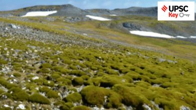 UPSC, upsc 2024, Upsc Prelims results, UPSC key terms, upsc news, upsc syllabus, UPSC KEY, Upsc Key terms, IAS current affairs, upsc Key Indian express, The Indian Express current Affairs, Is Indian Express Good for UPSC, upsc today news, upsc newspaper, Indian express today important news for upsc, Indian express monthly current affairs, What should I read in Indian Express for UPSC today, UPSC Answer Key, UPSC Online, IAS, IPS, upsc current affairs news, UPSC KEY News, UPSC Civil services news, UPSC Prelims 2023, UPSC Mains 2023, UPSC Mains 2023, UPSC Mains 2024, UPSC Prelims 2024, UPSC General Studies 1, UPSC General Studies II, UPSC General Studies III, UPSC General Studies IV, upsc, upsc mains 2023, UPSC mains answer writing, upsc GS paper 1, upsc mains GS paper 1, upsc geography, upsc history, gs paper 1, upsc, upsc mains 2023, UPSC mains answer writing, upsc gs paper 4, upsc mains gs paper 4, upsc ethics, gs paper 4, sarkari naukri, government jobs, Current events of national and international importance, History of India and Indian National Movement, Indian Heritage and Culture, History and Geography of the World and Society, Governance, Constitution, Polity, Social Justice and International relations, Technology, Economic Development, Bio diversity, Environment, Security and Disaster Management Ethics, Integrity and Aptitude, Indian Express UPSC Key, Upsc Indian Express, Narendra Modi, India-Maldives, President Muizzu, Israel Hamas anniversary, Hamas, Gaza, Palestine, Iran, Lebanon, Kolkata, Nobel Prize in physics 2024, Victor Ambros, Gary Ruvkun, Haryana, Jammu and Kashmir, election results, Artificial Intelligence, Tomato, John Hopfield, Geoffrey Hinton, Nobel Prize in chemistry 2024, Nobel Prize, Comprehensive Annual Modular Survey 2022-23, digital divide, withdrawal of accommodation, repo rate, ratan tata, tata group, David Baker, Demis Hassabis and John Jumper, noel Tata, Antarctic, Han Kang, ASEAN, South China Sea