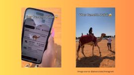 Woman stuck in Dubai desert orders camel ride via Uber