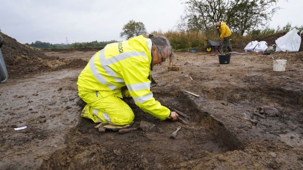 Denmark Excavation