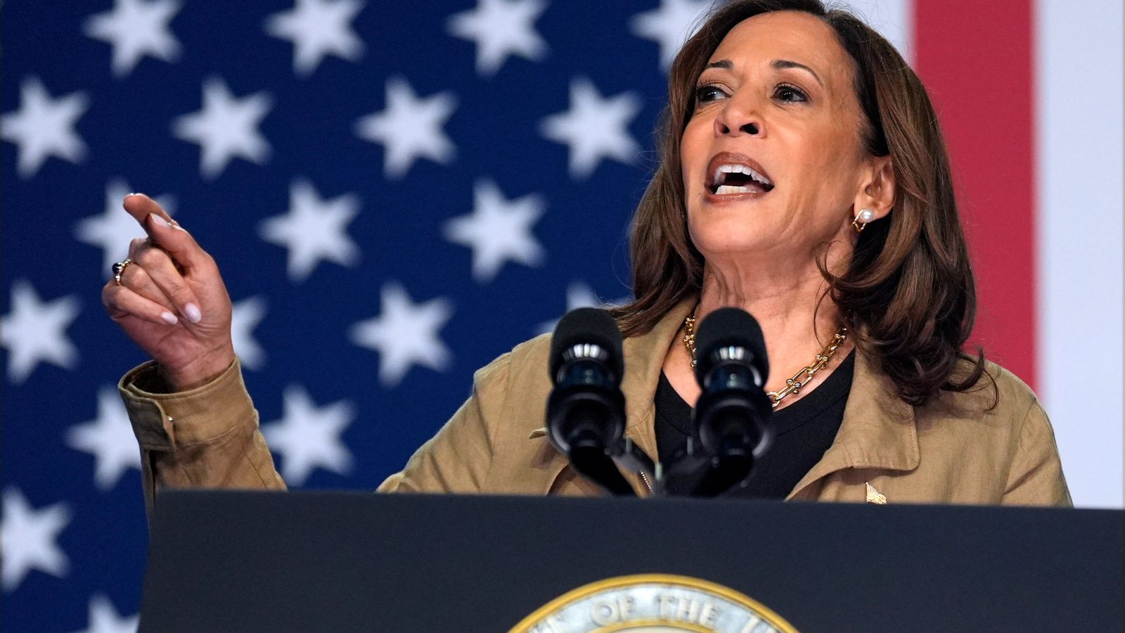 Harris underlines US’ support for Gaza ceasefire as conflict escalates ...
