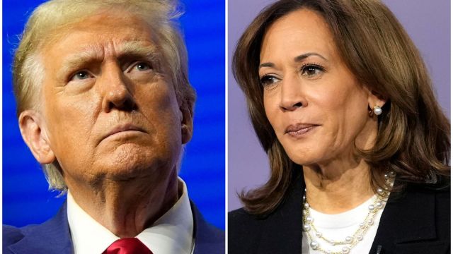 Trump and Harris