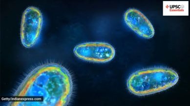 UPSC Daily subject-wise quiz : Environment, Geography, Sci-Tech (Week 82)