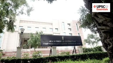 What are constitutional, statutory, and non-statutory bodies?