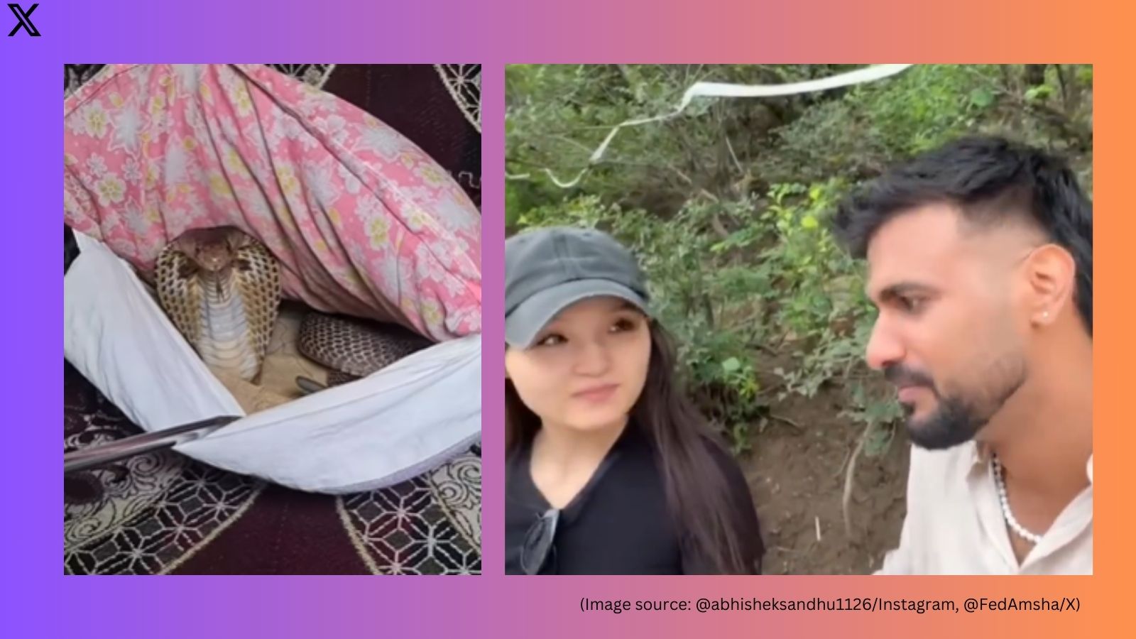 Man discovers cobra hidden in sofa cushion, Chinese woman calls Indian