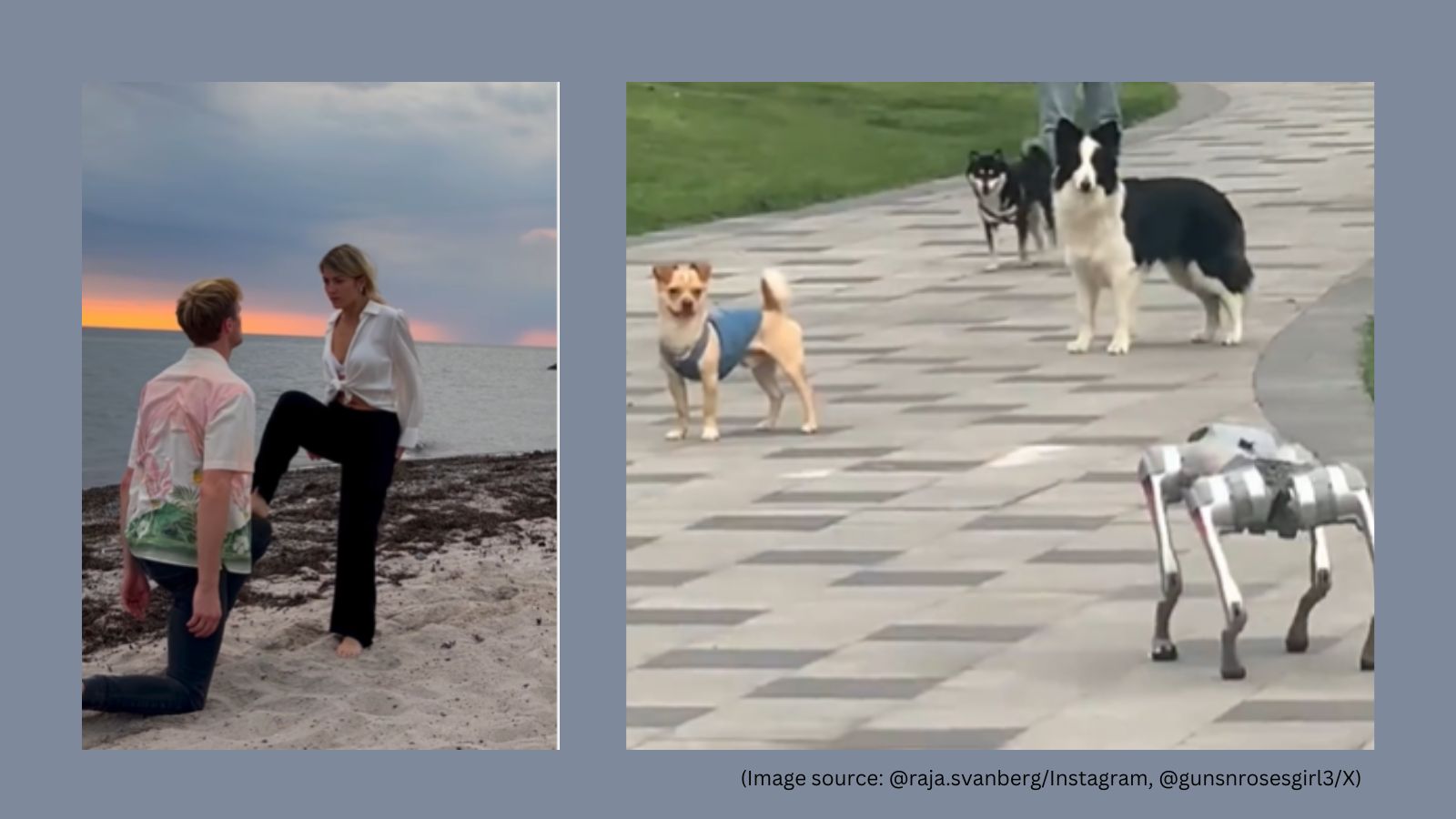 Top 5 viral videos today